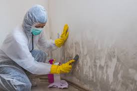 Best Asbestos and Lead Testing During Mold Inspection  in Cooper City, FL